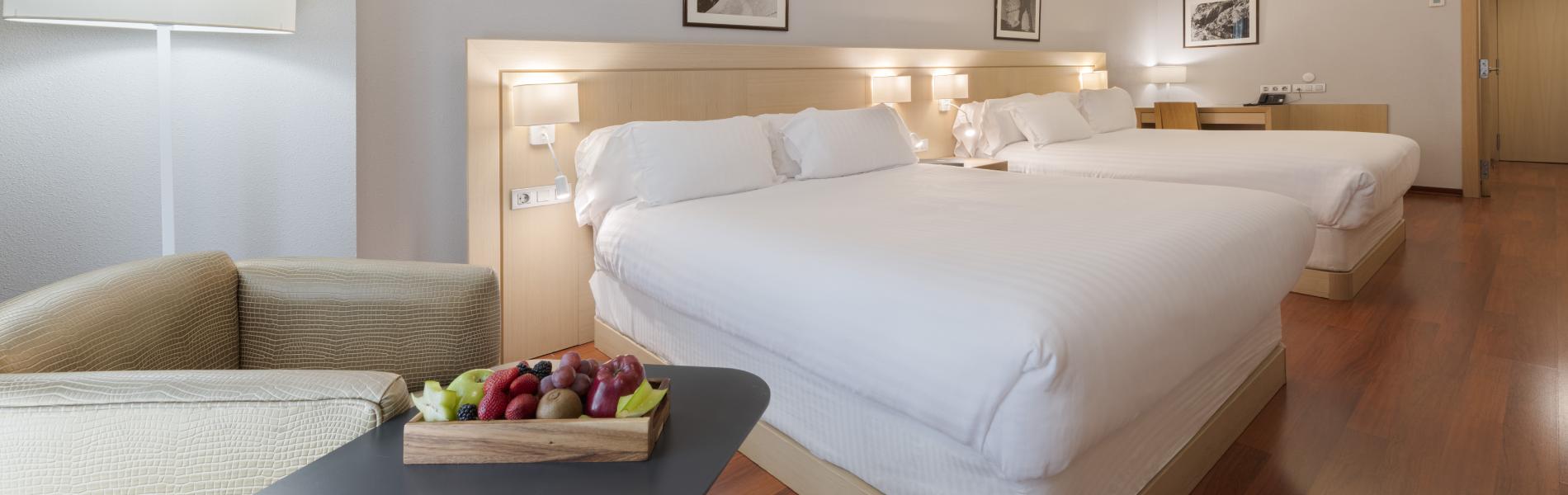 suites plaza hotel & wellness andorra spa